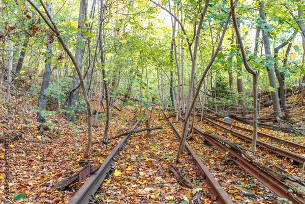 Fototapeta Abandoned Autumn Railway