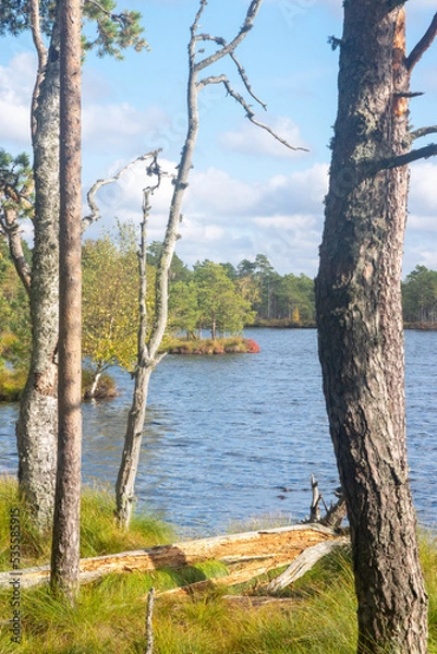 Obraz View to Kakerdaja bog lake