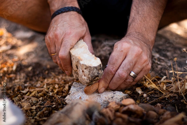Obraz Man's hands in the field hitting an almond with a stone to open it and eat its fruit.