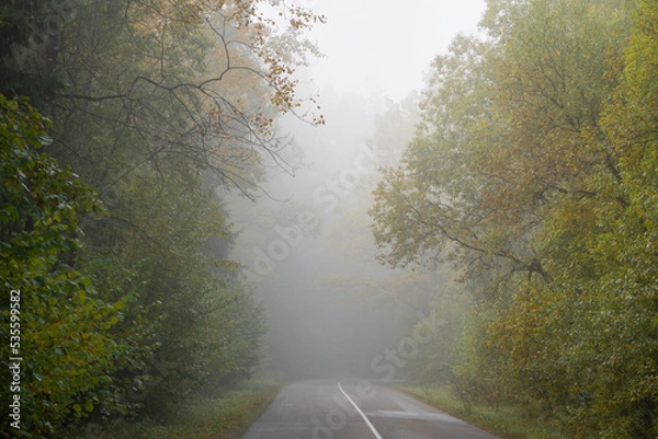 Fototapeta road in autumn in Belarus