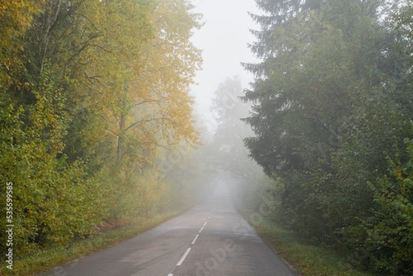 Fototapeta road in autumn in Belarus