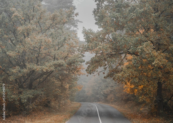 Fototapeta road in autumn in Belarus
