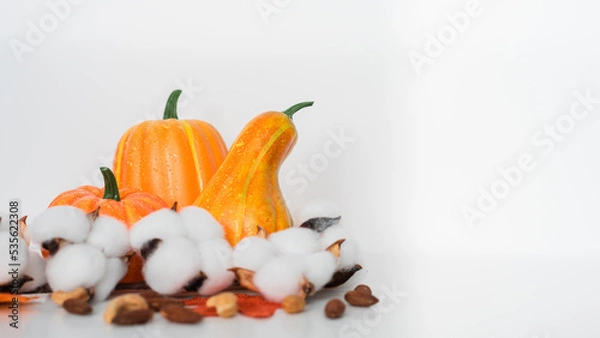 Obraz Isolated on white background pumpkin with cotton flower and nut scattered.