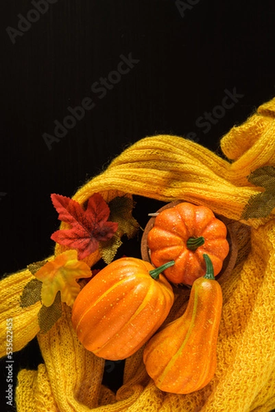 Obraz Three beatiful pumpkin on knitted yellow warm sweater. Rural style. Hello October, November. Autumn season. Cozy atmosphere 