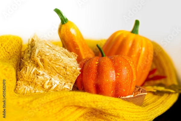 Obraz Three beatiful orange pumpkin on white background with knitted sweater, briquette hay. Autumn season. Hello October, November. Rural style. Space for text