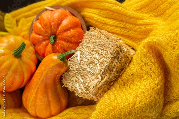 Obraz Three beatiful pumpkin on autumn background with knitted sweater. Autumn season.