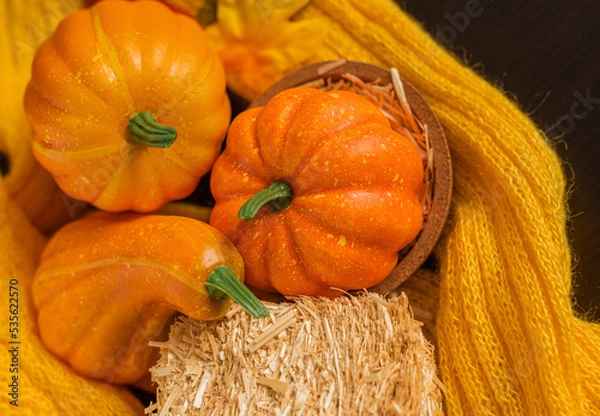 Obraz Autumn background with knitted sweater, pumpkin, briquette hay. Hello October, November. Autumn season.