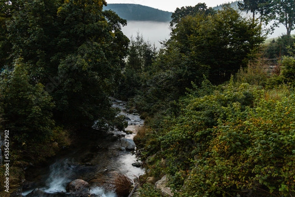Obraz Small flowing river in Golden Mountains at morning sunrise seen from bridge