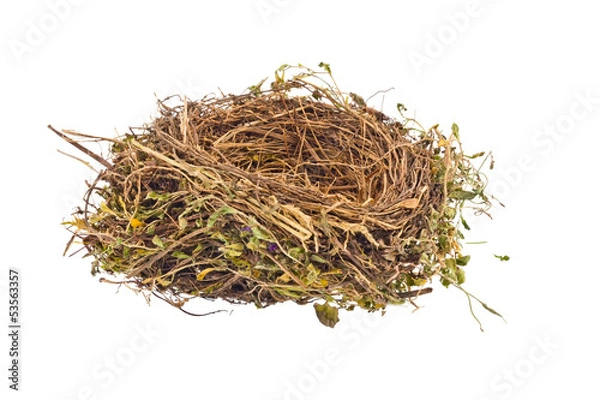 Fototapeta Leeres Vogelnest