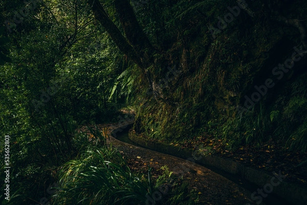 Obraz Madeira's King Trail