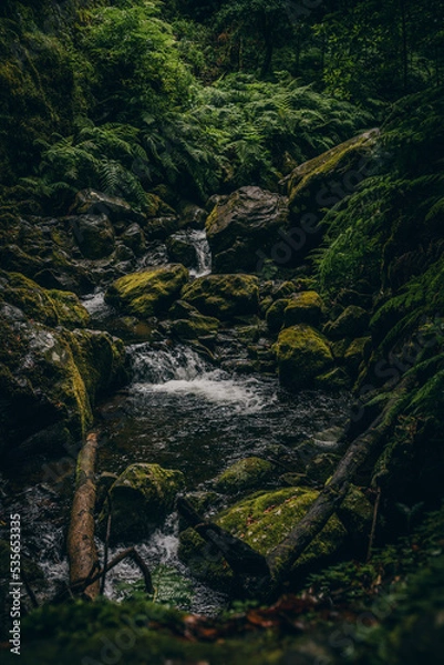 Obraz King's Trail Water Source