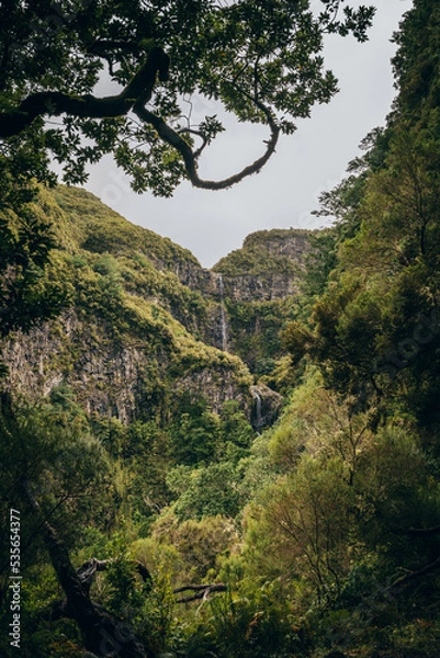 Obraz Waterfall in the Jungle