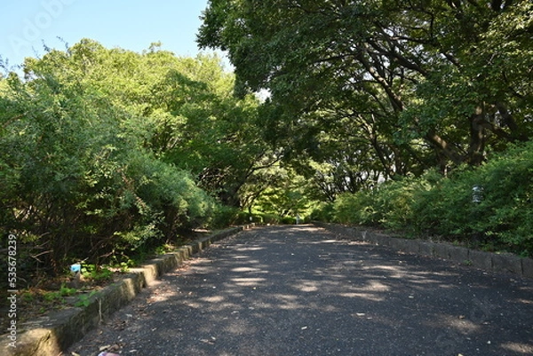 Fototapeta 散歩道
