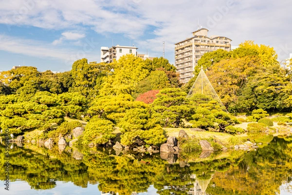 Fototapeta 秋の清澄庭園