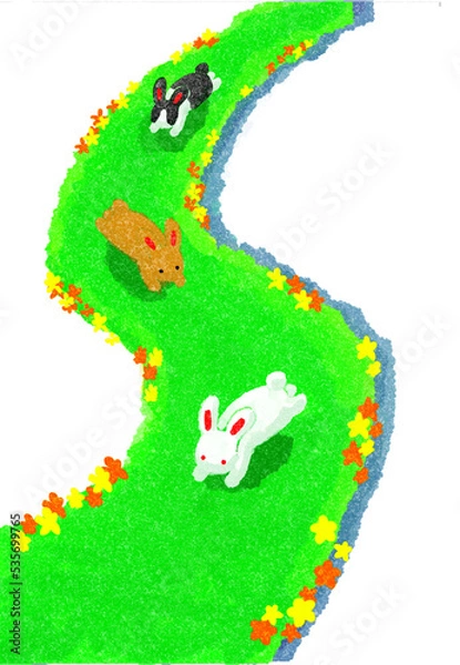 Fototapeta 走るウサギ