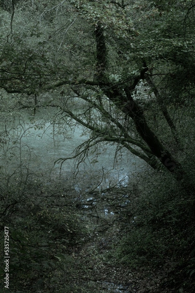 Obraz Rivière étrange