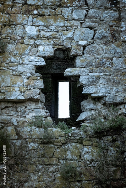 Obraz Oeil de la tour