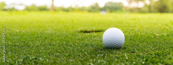 Obraz The ball at the hole