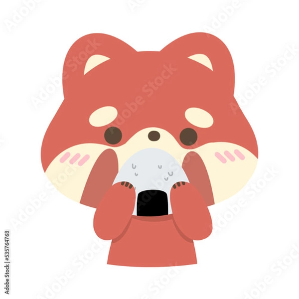 Obraz red panda eating food.