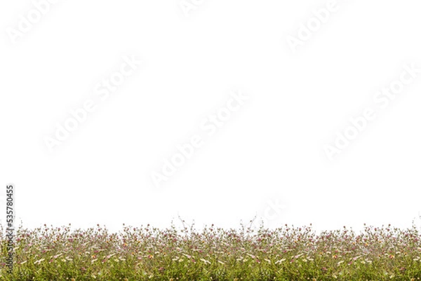 Obraz Flower meadow png as background or overlay for your works.