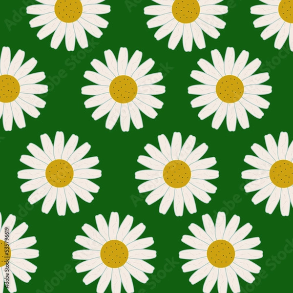 Obraz pattern chamomile green background flowers white petals