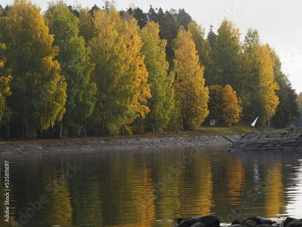 Fototapeta OLYMPUS DIGITAL CAMERA