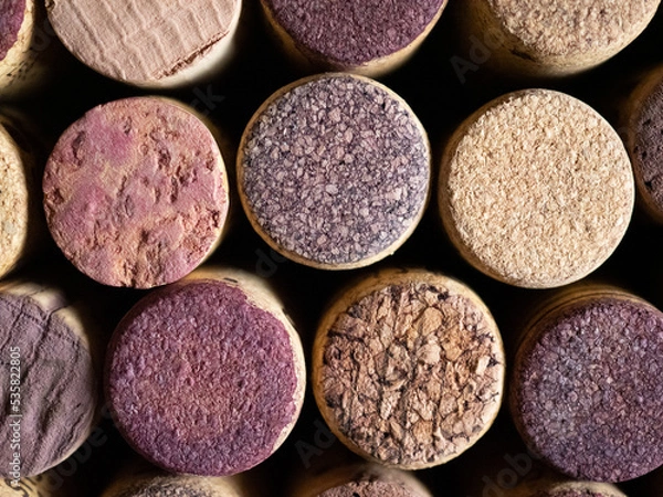 Fototapeta Group of corks, red wine stains. Stacked corks for background. Close up view. cork texture