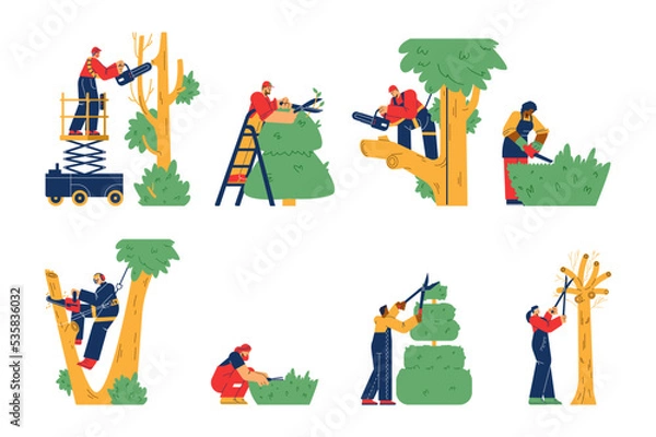 Fototapeta Garden workers trim the trees set of flat vector illustrations isolated.