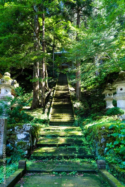 Obraz 福井県　永平寺の初秋 佛祖坂
