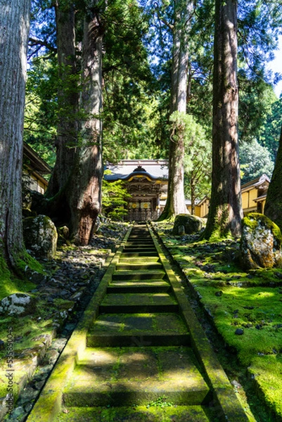 Obraz 【福井県】永平寺　唐門