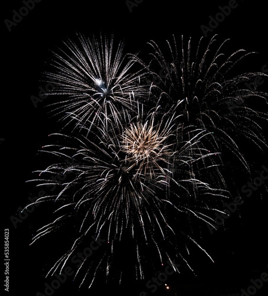Obraz fireworks in the night sky