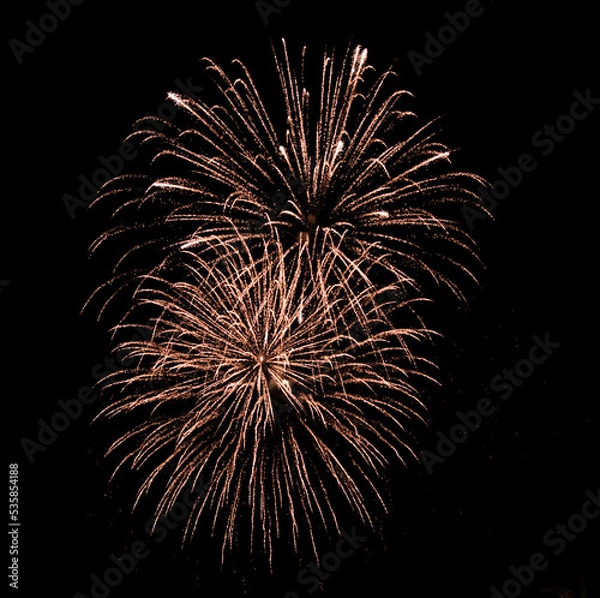 Obraz fireworks in the night sky