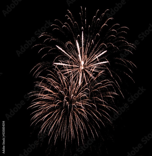 Obraz fireworks in the night sky