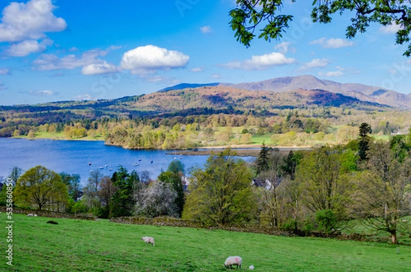 Fototapeta Lake Windermere from Skelghyll Wood near Jenkin Crag Jenkins Crag in the English Lake District