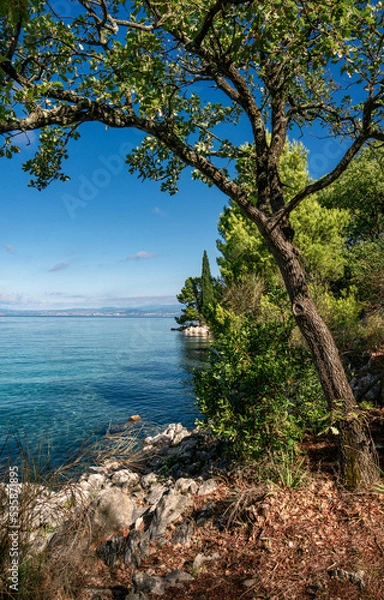 Obraz Malinska Croatia