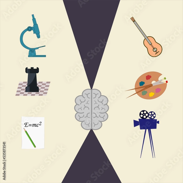Fototapeta Brain Hemispheres Activities