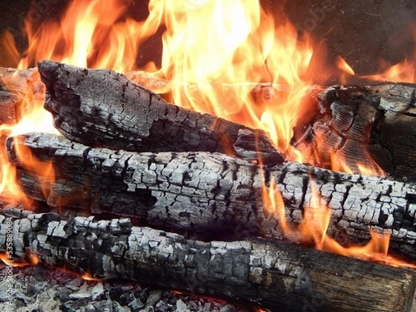 Obraz Burning bonfire. Flame. Photo of burning firewood in the forest at a picnic.