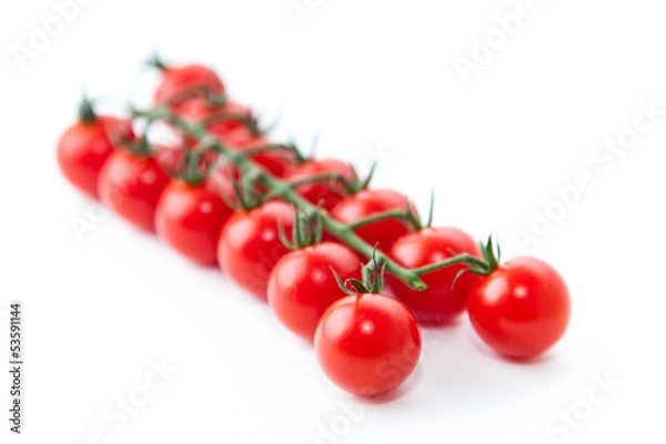 Obraz Tomaten