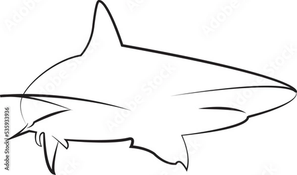 Obraz shark illustration