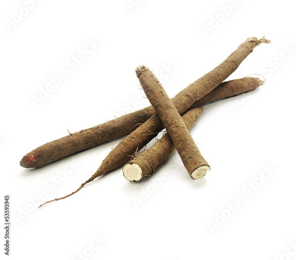 Fototapeta kilka salsefii na białym tle.