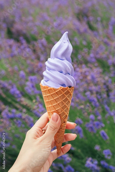 Fototapeta ラベンダーソフトクリームアイス