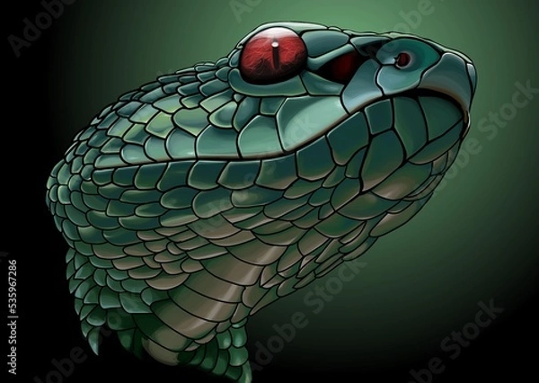 Obraz illustration of a snake