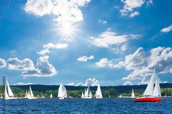 Fototapeta Żeglarze na berlińskim Wannsee