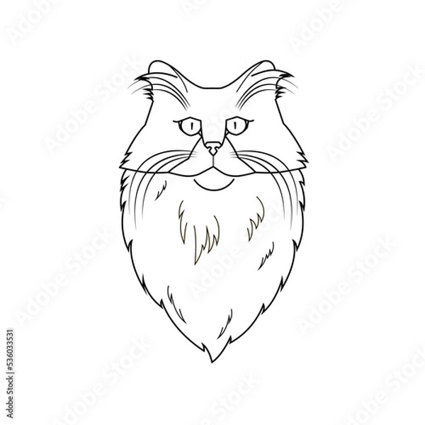 Fototapeta Stylized drawing of a cat's head. Linear drawing of a cat.