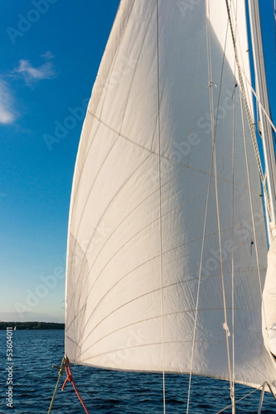Fototapeta Wasser, Segelboot, Vorsegel