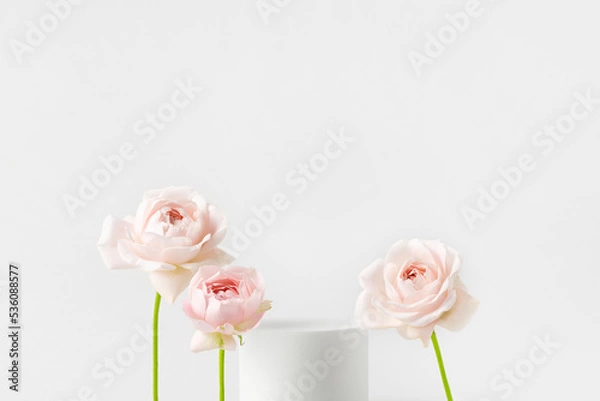 Fototapeta Empty white podium and pink roses on light grey background. Minimal mockup. Round showcase for cosmetic product advertising. Abstract display or stage. Spa and beauty concept. Front view. Copy space.