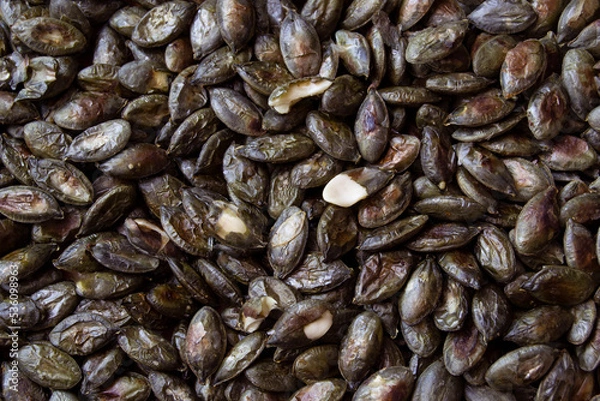 Obraz Cooked pumpkin seeds background or texture. Healthy food. Vegeterian and diet concept
