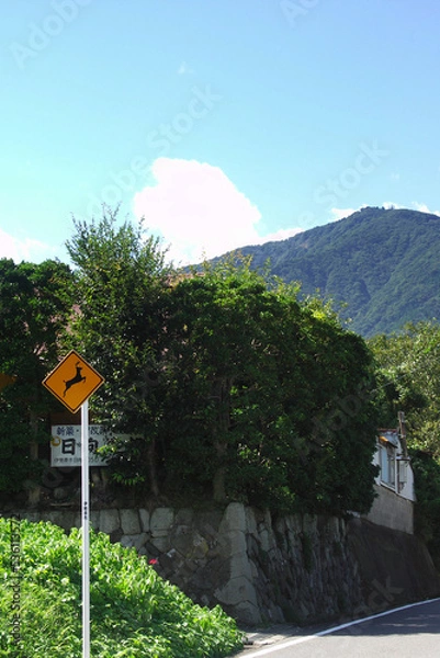 Obraz 伊勢原にて田園地帯に咲く秋の彼岸花と赤トンボ