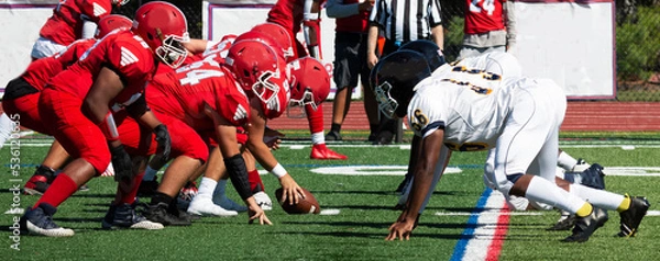 Fototapeta Football teams lined up for the snap of the ball
