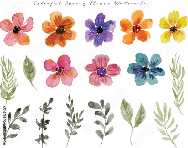 Fototapeta set of colorful wild flower and leaf watercolor	